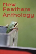 Cover: New Feathers Anthology 2025 - New Feathers Foundation