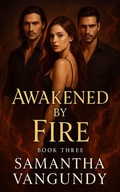 Cover: Awakened By Fire (Marked By Night, #3) - Samantha VanGundy