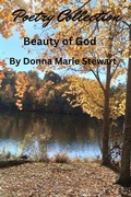 Cover: Beauty of God - Beauty of God