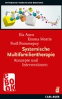Cover: Systemische Multifamilientherapie - Carl-Auer Verlag