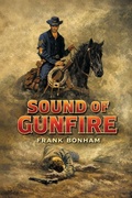 Cover: Sound of Gunfire - Wildside Press