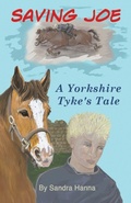 Cover: Saving Joe - Grosvenor House Publishing Limited