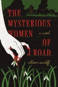 Cover: The Mysterious Women of J Road - April Gloaming Publishing