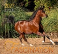 Cover: Fascination 2027 - Edition Boiselle