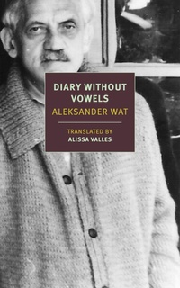 Enlarge image Cover: Diary Without Vowels - New York Review of Books
