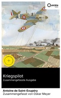 Cover: Kriegspilot (Zusammengefasste Ausgabe) - Quickie Classics