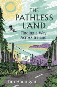 Enlarge image Cover: The Pathless Land - Apollo
