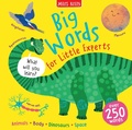 Cover: Big Words - Big Words for Little Experts