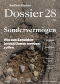 Cover: Sonderverm&ouml;gen - Frankfurter Allgemeine Zeitung GmbH