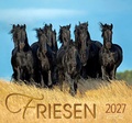 Cover: Friesen 2027 - Edition Boiselle
