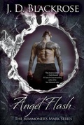 Cover: Angel Flash - Slippery Words Books