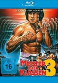 Cover: Meister Aller Klassen 3 - Fortune Star