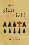 Cover: The Glass Field - Jaro Press