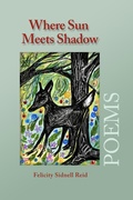 Cover: Where Sun Meets Shadow - Aeolus House