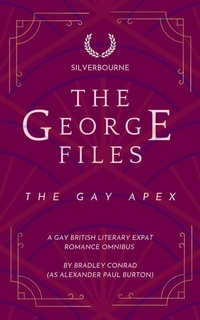 Enlarge image Cover: The George Files - Silverbourne Gay British Romance