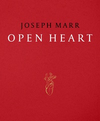 Enlarge image Cover: Open Heart - DISTANZ Verlag