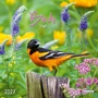 Cover: Birds 2027 - Tushita PaperArt GmbH