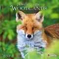 Cover: Dwellers of the Woodlands 2027 - Tushita PaperArt GmbH