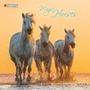 Cover: Magic Horses 2027 - Tushita PaperArt GmbH