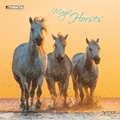 Cover: Magic Horses 2027 - Tushita PaperArt GmbH