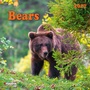 Cover: Bears 2027 - Tushita PaperArt GmbH