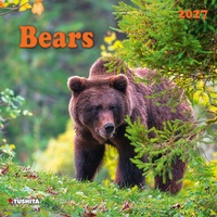 Enlarge image Cover: Bears 2027 - Tushita PaperArt GmbH
