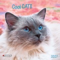 Cover: Cool Cats 2027 - Tushita PaperArt GmbH