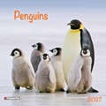Cover: Penguins 2027 - Tushita PaperArt GmbH
