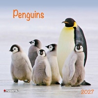 Enlarge image Cover: Penguins 2027 - Tushita PaperArt GmbH