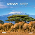 Cover: African Wildlife 2027 - Tushita PaperArt GmbH