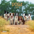 Cover: Dogs 2027 - Tushita PaperArt GmbH