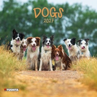Enlarge image Cover: Dogs 2027 - Tushita PaperArt GmbH