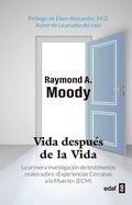 Cover: Vida Despues de la Vida -V4* - Edaf Antillas