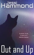 Cover: Out and Up - Kincaid Publishing