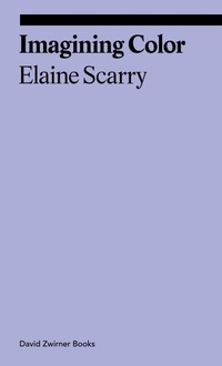 Enlarge image Cover: Imagining Color - David Zwirner