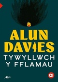 Cover: Cyfres Amdani: Tywyllwch y Fflamau - Y Lolfa