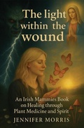 Cover: The light within the wound - Pegasus Elliot Mackenzie Publishers