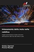 Cover: Intasamento della mola nella rettifica - Edizioni Sapienza