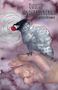 Cover: Quiet Underpinnings - Roadside Press