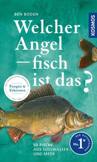 Bild vergrößern Bild: Welcher Angelfisch ist das? - Kosmos