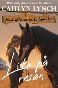 Cover: Lita p&aring; resan - Shenanigans