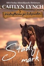 Cover: Stadig mark - Shenanigans