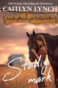 Cover: Stadig mark - Shenanigans