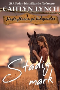 Enlarge image Cover: Stadig mark - Shenanigans