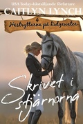 Cover: Skrivet i stj&auml;rnorna - Shenanigans
