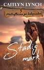 Cover: Stadig mark - Shenanigans Press