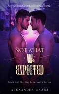 Cover: Not What We Expected - WriteBooks Publishing