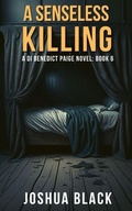 Cover: A Senseless Killing - Joshua Black
