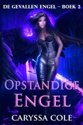 Cover: Opstandige Engel - Shenanigans