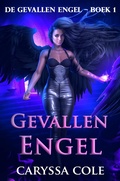 Cover: Gevallen Engel - Shenanigans